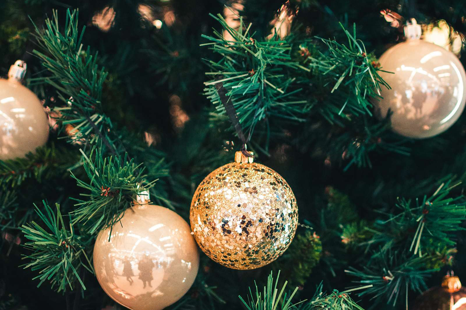 クリスマスツリーの画像