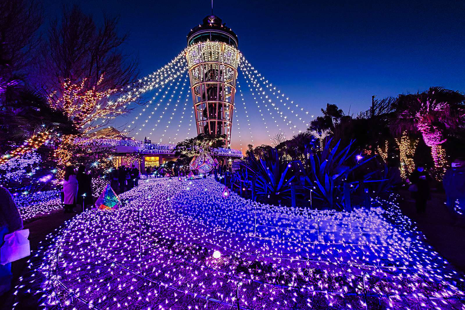 イルミネーションの画像